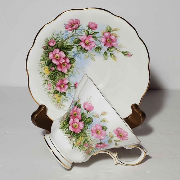 Royal Albert Teacup and Saucer Petula Sunnyside Series - Picture 5 of 9